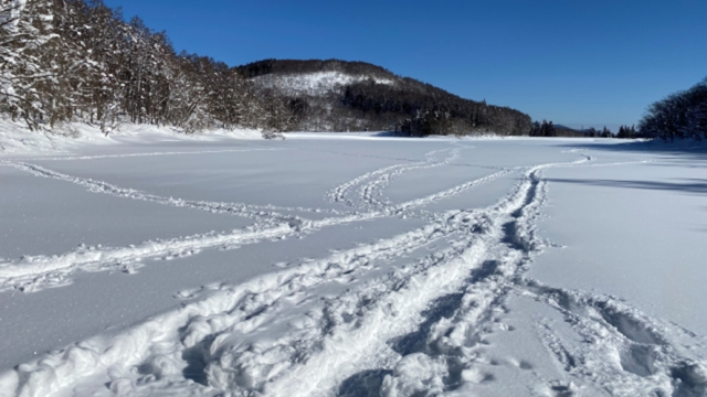 長野市内のような雪国は木造住宅とRC住宅どっちが快適？【2026年版】